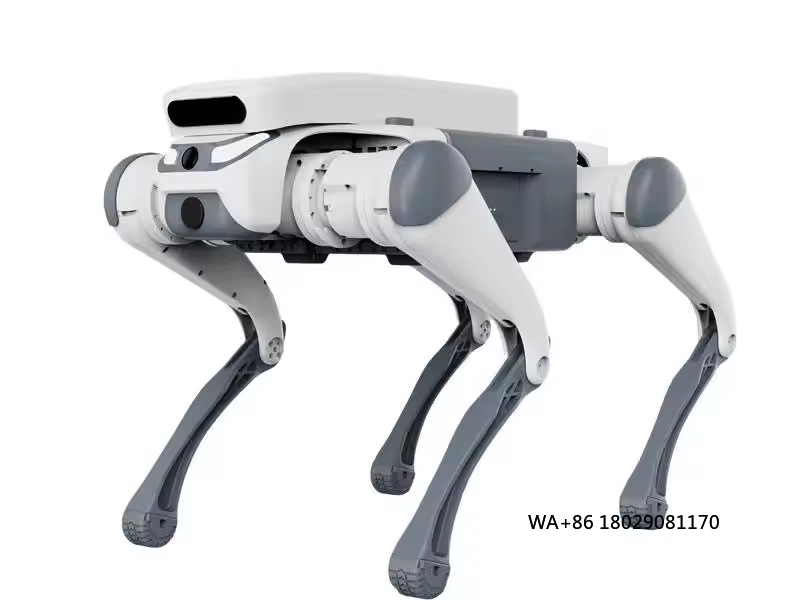 Stunt-Fernbedienung, Lernspiel – Remote Control Toys Bewertung und Preis